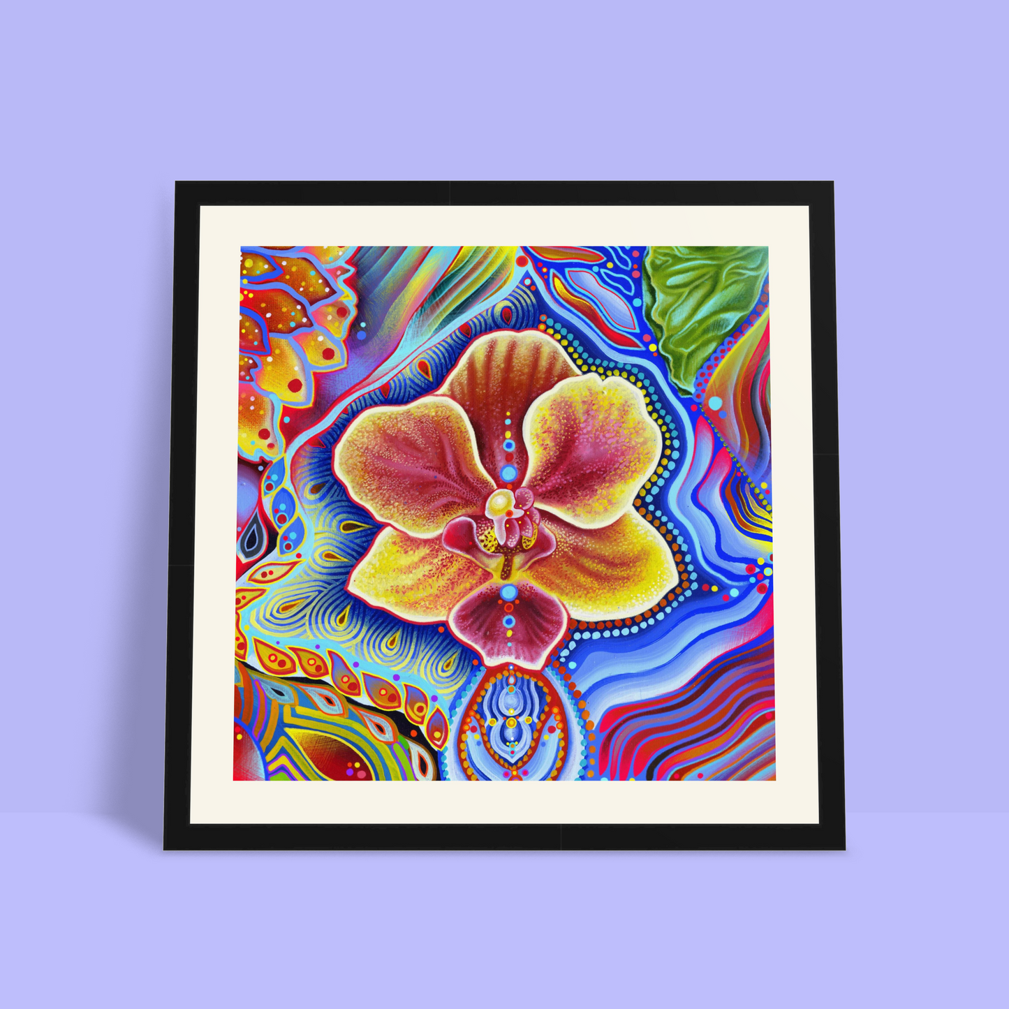 Orchidea